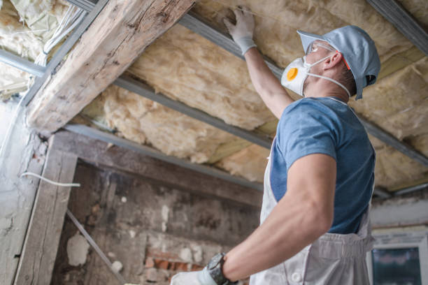 Best Commercial Insulation in Rockwall, TX