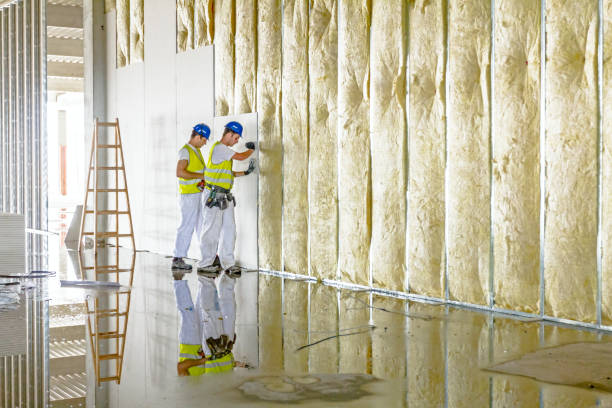 Best Residential Insulation in Rockwall, TX